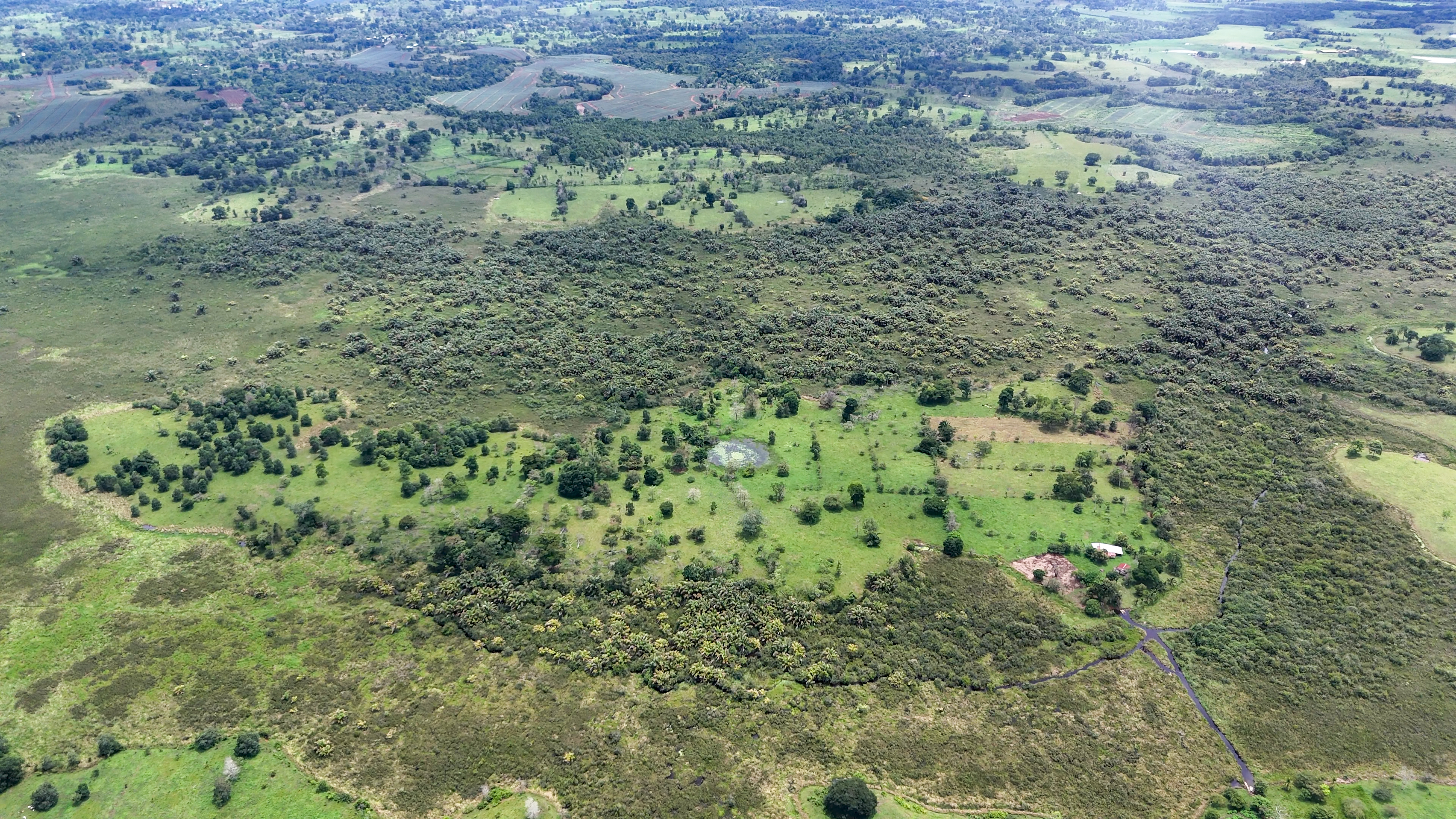 Aerial view of Agami Island showing current pastureland